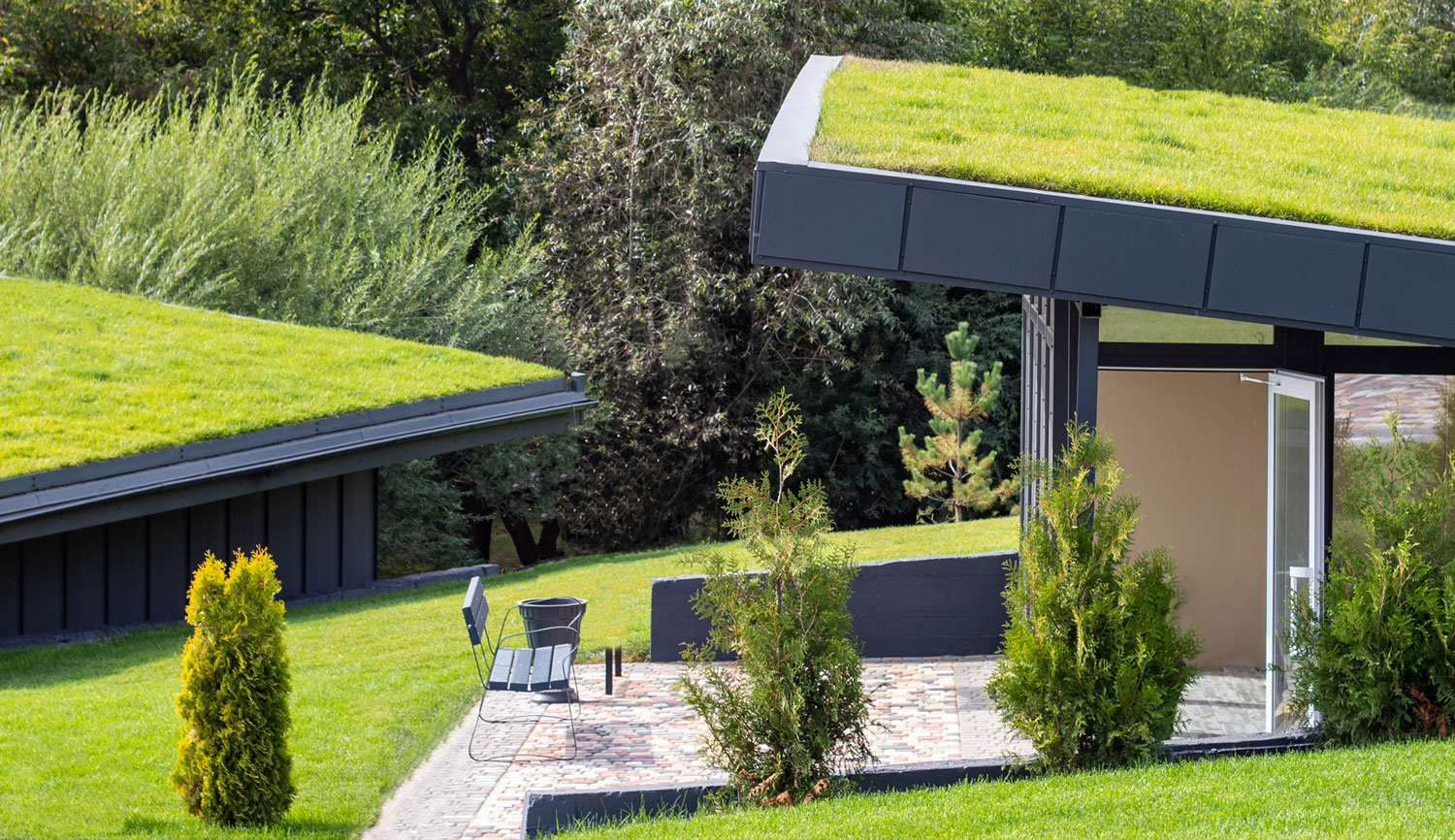 Green Roofs – What are they?