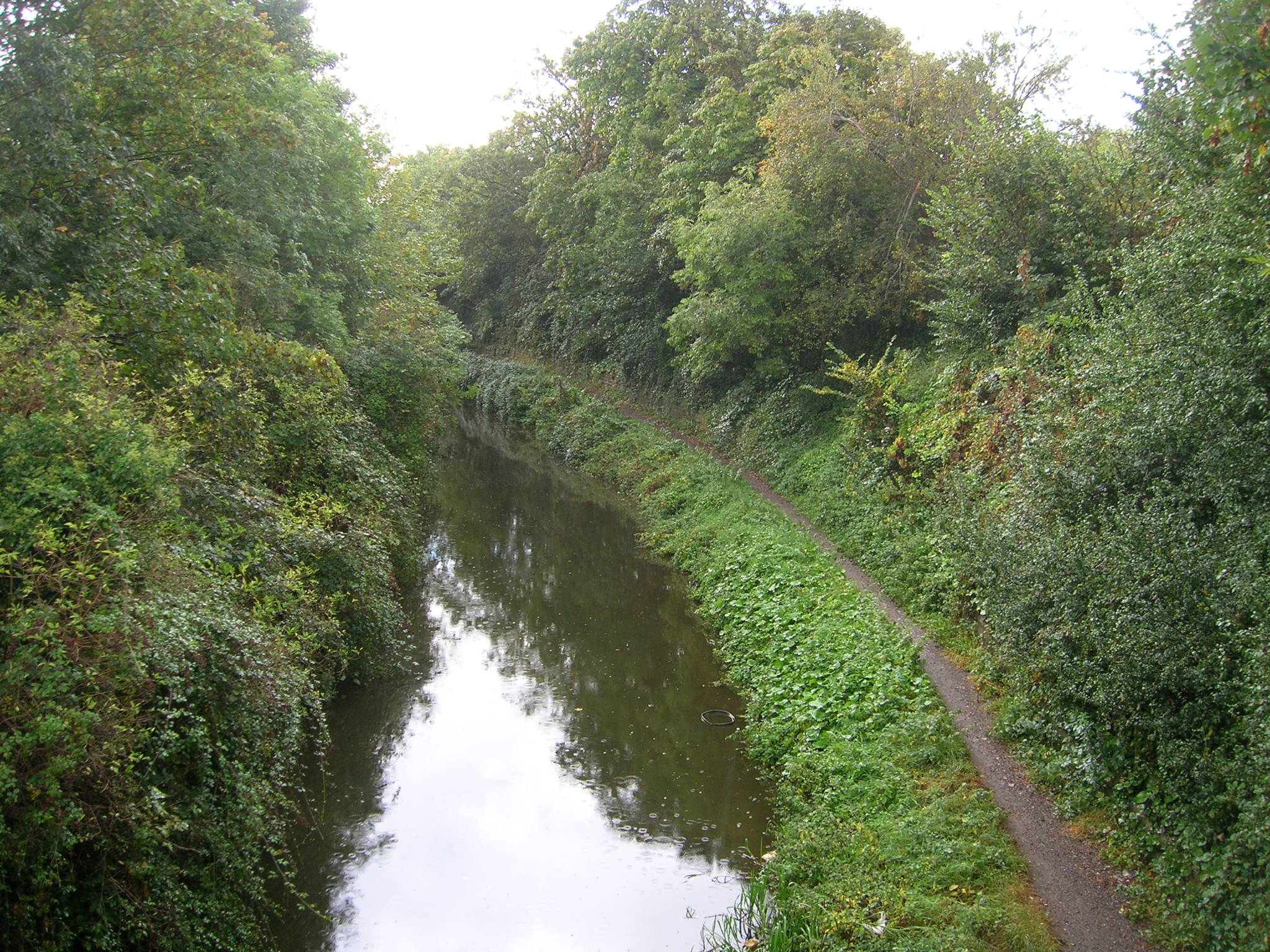 Nutrient Neutrality – DEFRA Policy Paper Update